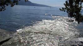 The River Veveyse joins Lake Geneva at Vevey, 52.2 miles from Sion